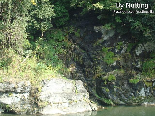 DSC03860.JPG